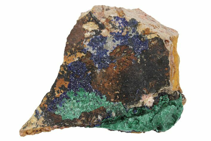 Azurite and Malachite Association on Matrix - Morocco #217798